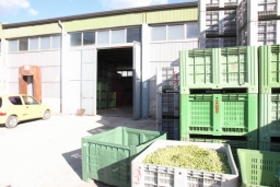 01 Lucca Sicula frantoio002.JPG